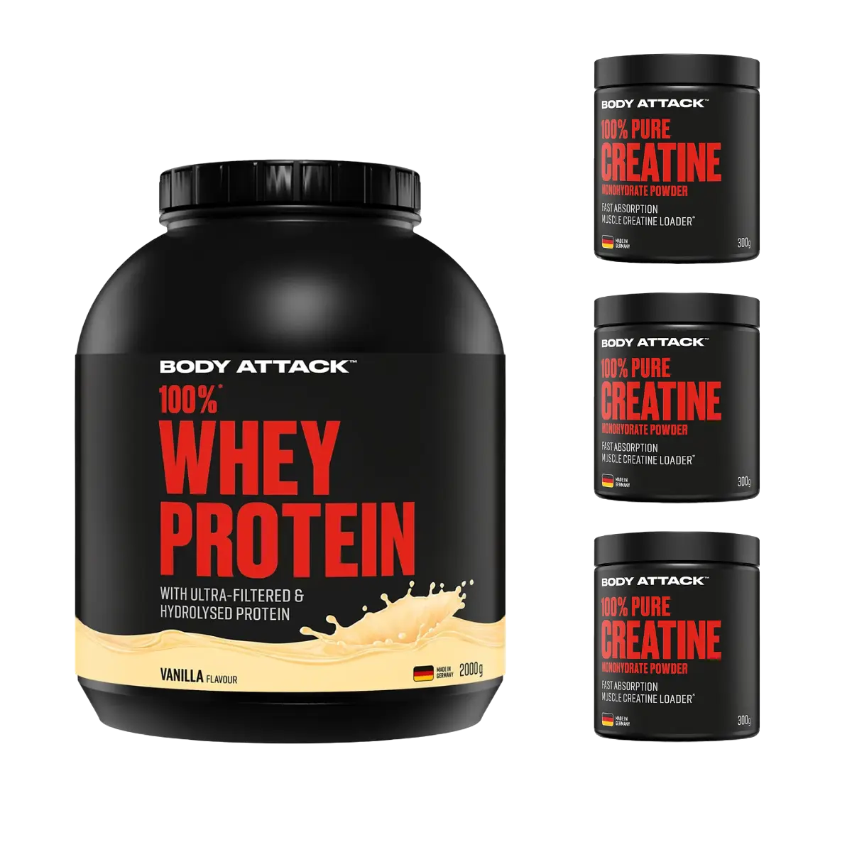 Muscle & Strength: Basic XL